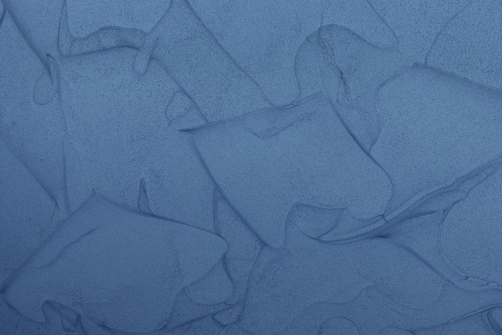 Detail povrchu v odtieni Sky Line, modrá s viditeľnou kresbou ťahov.